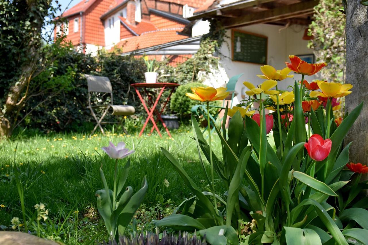 Apartmenthaus Duderstadt Buitenkant foto